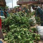 PLACES: The Agriculturally Rich Town Of Iwo, Osun