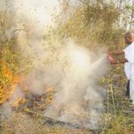 LEADING BY EXAMPLE: Aregbesola Became A Fire Fighter Along Osogbo – Ilesha Road