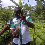 Tree Planting Not A Political Affair In Osun – Ilori