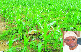 Agric Commissioner Urges Farmers To Prepare Towards New Planting Season