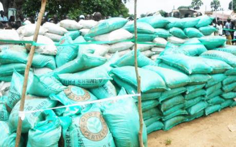 Osun To Spend N710m On Fertiliser