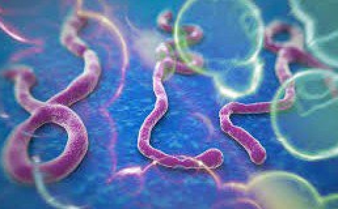 Ebola-‘Ebata-300×160