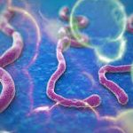Ebola: Osun Creates 4 Isolation Centres