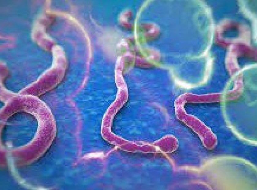 Ebola-‘Ebata-300×160