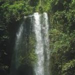 40,000 Tourists Visit Olumirin Waterfalls —Daniyan