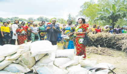 Women-farmers-receiving-Cassava-stems-