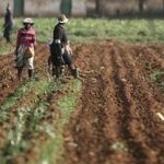 Farmers, Herdsmen Tasked On Peaceful Coexistence In Osun