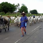 DSS Brokers Peace Parley Between Afenifere, Herdsmen In Osun