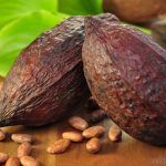 Osun Cultivates 1,500 Hectare Of Land For Cocoa