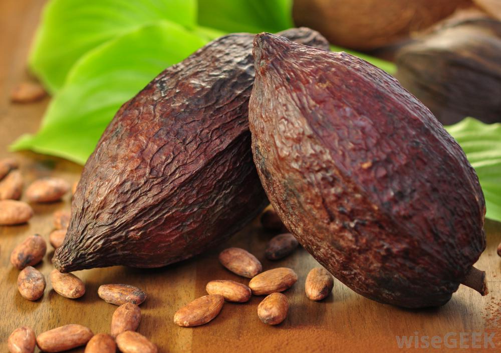 cacao-beans