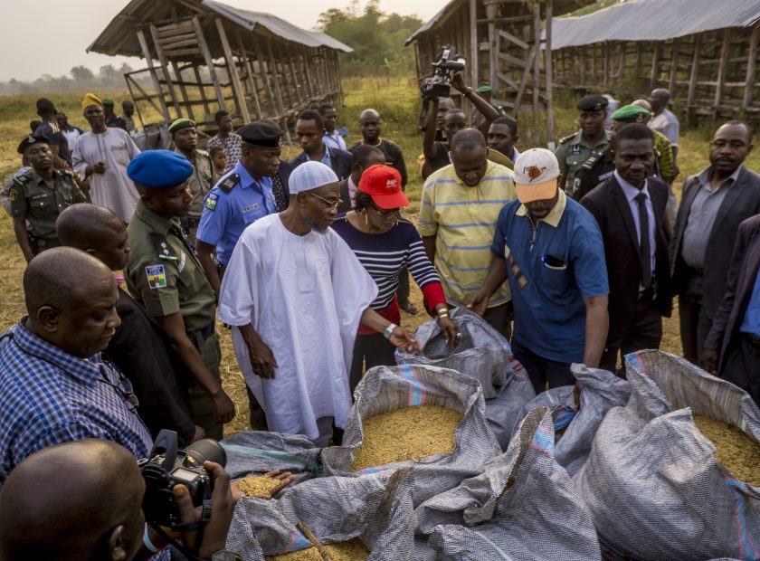 Bosoye Ololare's rice farm