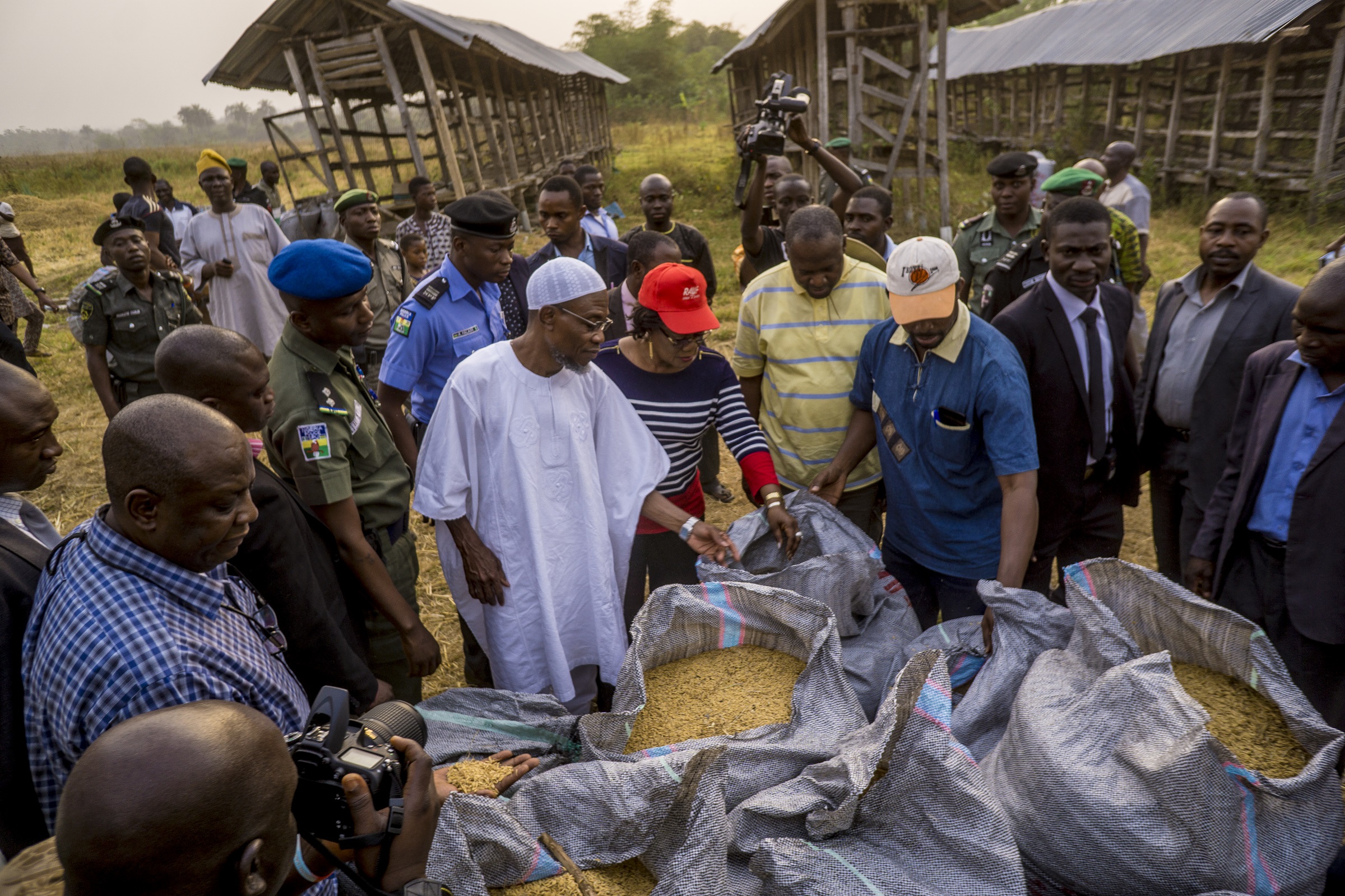 Bosoye Ololare's rice farm