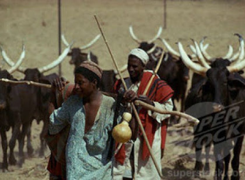 fulani-herdsmen