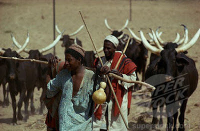 fulani-herdsmen