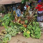 17,000 Farmers Empowered Through Intervention Loans to Boost Agric in Osun